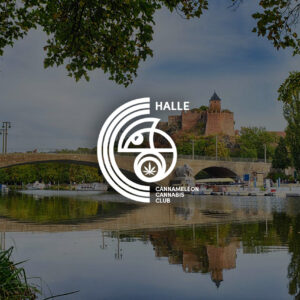 CSC Halle